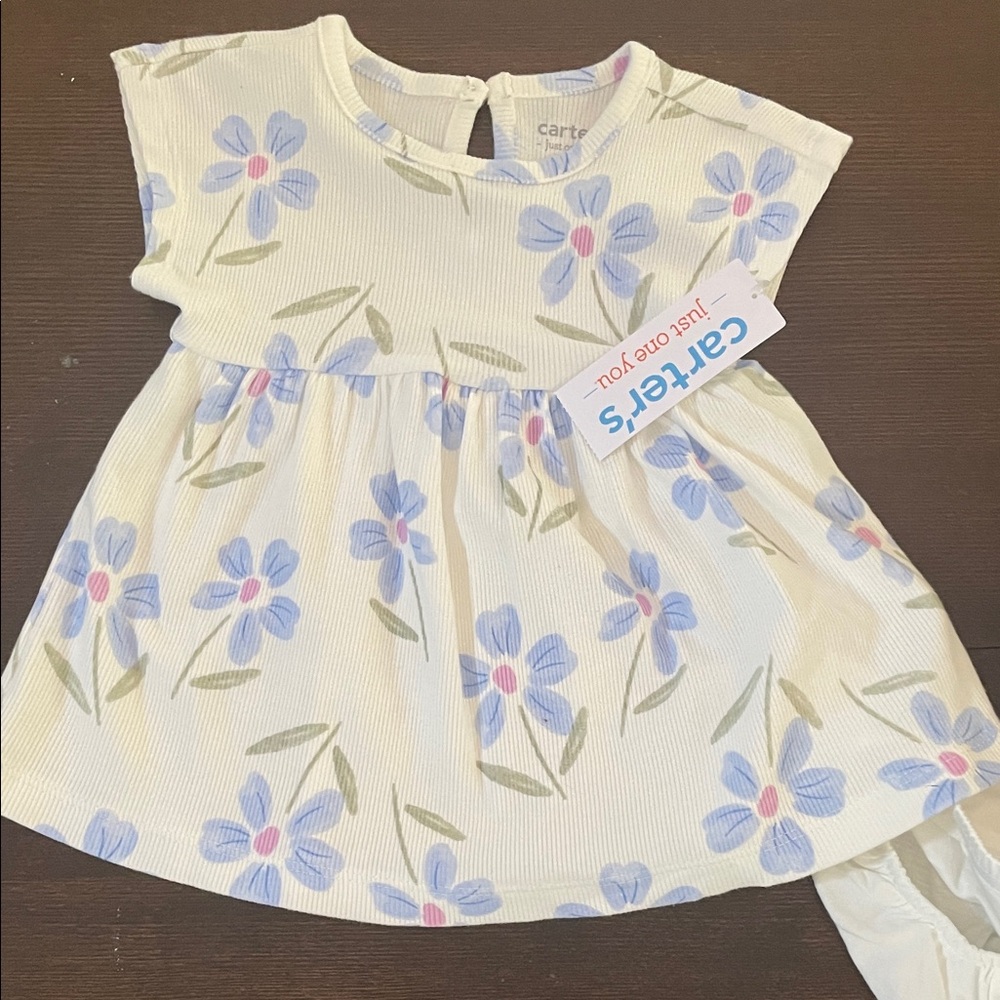 Carter's Cream Baby Dress with Blue Floral Design